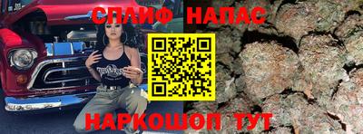 mdpv Славгород