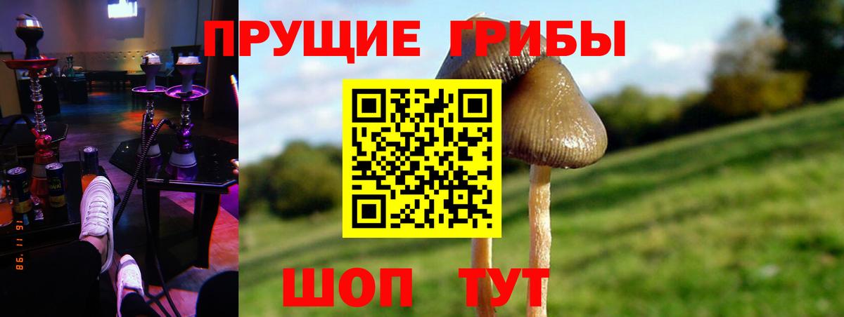 Галлюциногенные грибы прущие грибы Сердобск